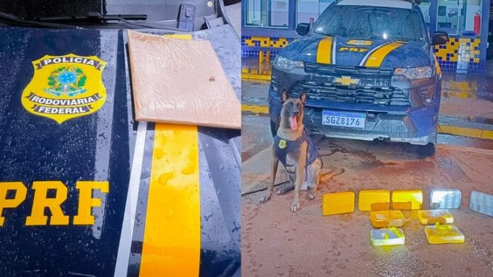 prf-prende-dois-traficantes-com-drogas-em-onibus-na-rodovia-br-364-em-mt