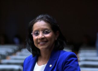 ofensiva-do-governo-contra-bets-reacende-debate-e-destaca-pl-de-gisela-contra-endividamento