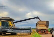 gaeco-aponta-transporte-de-graos-acima-do-declarado-em-investigacao-em-sorriso