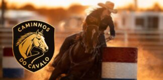 sorriso-recebe-evento-equestre-“caminhos-do-cavalo”-com-provas,-shows-e-acoes-inclusivas