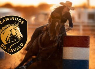 sorriso-recebe-evento-equestre-“caminhos-do-cavalo”-com-provas,-shows-e-acoes-inclusivas
