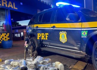Passageiro é preso com 38 kg de supermaconha em ônibus na rodovia BR-364 em MT passageiro-e-preso-com-38-kg-de-supermaconha-em-onibus-na-rodovia-br-364-em-mt