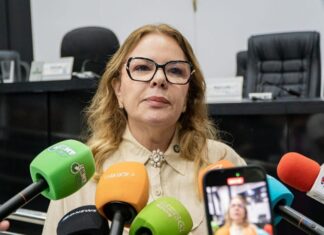 paula-calil-reage-a-operacao-e-diz-que-camara-nao-e-alvo:-“trata-se-de-um-cpf,-de-um-vereador”