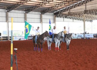 projeto-caminhos-do-cavalo-promove-inclusao,-esporte-e-equoterapia-em-sorriso