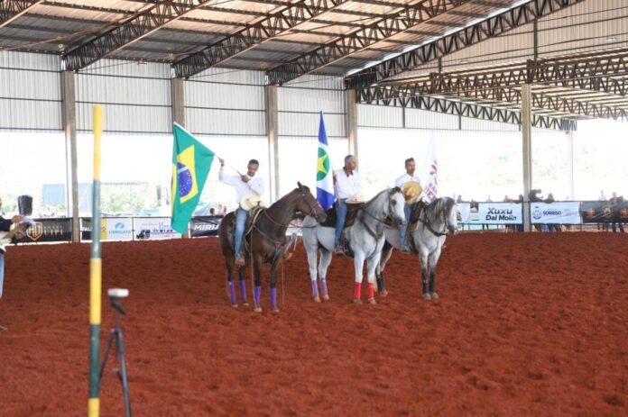 projeto-caminhos-do-cavalo-promove-inclusao,-esporte-e-equoterapia-em-sorriso