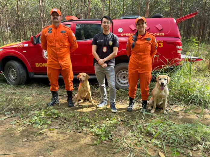 corpo-de-jovem-desaparecido-ha-um-mes-e-encontrado-com-apoio-de-caes-farejadores-em-mt corpo-de-jovem-desaparecido-ha-um-mes-e-encontrado-com-apoio-de-caes-farejadores-em-mt