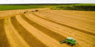 mato-grosso-consolida-safra-25/26-com-producao-recorde-e-mantem-lideranca-na-soja