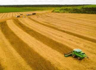 Mato Grosso consolida safra 25/26 com produção recorde e mantém liderança na soja mato-grosso-consolida-safra-25/26-com-producao-recorde-e-mantem-lideranca-na-soja