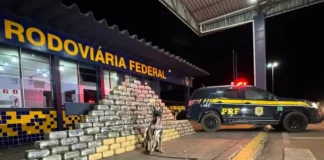 prf-apreende-mais-de-meia-tonelada-de-skunk-escondidos-em-fundo-falso-de-caminhao