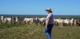 mulheres-conciliam-gestao-de-fazendas-e-criacao-dos-filhos-em-mato-grosso