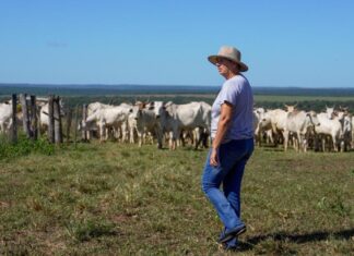 Mulheres conciliam gestão de fazendas e criação dos filhos em Mato Grosso mulheres-conciliam-gestao-de-fazendas-e-criacao-dos-filhos-em-mato-grosso