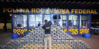 prf-apreende-540-quilos-de-skunk-escondidos-em-fundo-falso-de-caminhao-em-mt
