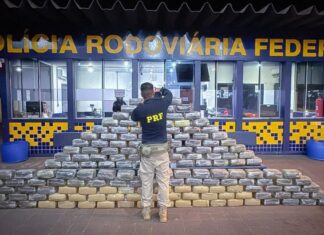 PRF apreende 540 quilos de skunk escondidos em fundo falso de caminhão em MT prf-apreende-540-quilos-de-skunk-escondidos-em-fundo-falso-de-caminhao-em-mt